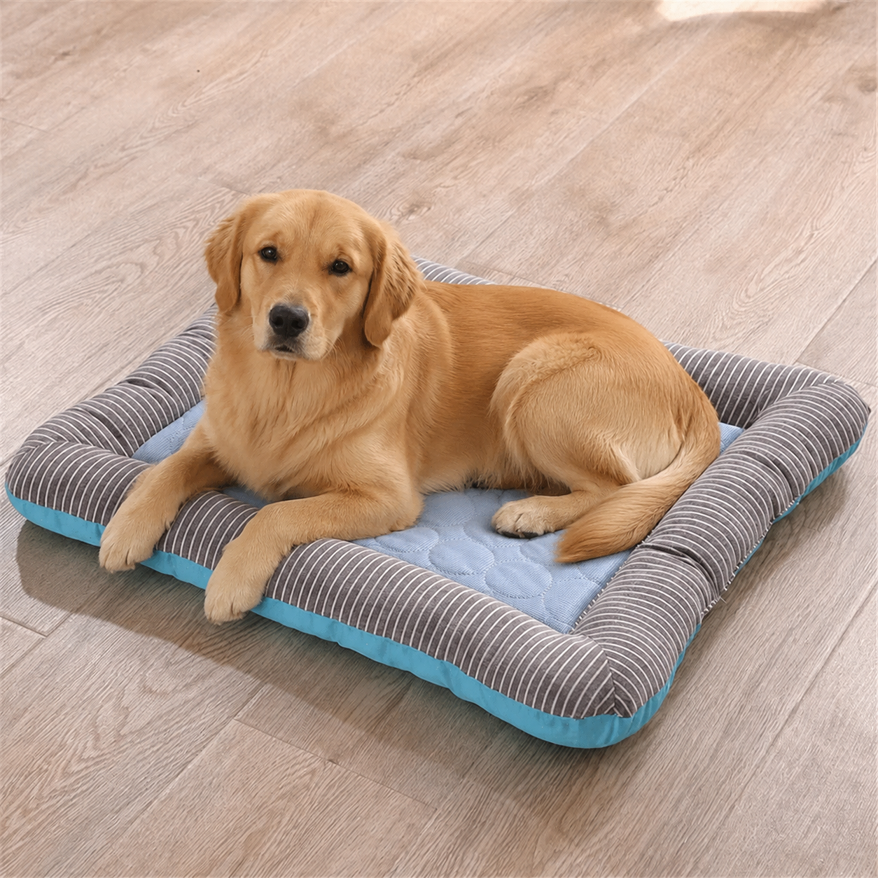 CoolPaw™ Self-Cooling Dog Mat